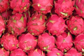 همه چیز درباره میوه اژدها (Dragon Fruit)
