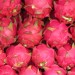 همه چیز درباره میوه اژدها (Dragon Fruit)