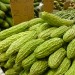 Bitter melon