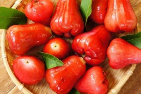 میوه استوایی سیب رز (Rose Apple)