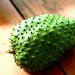 میوه استوایی ساورسوپ (Soursop)