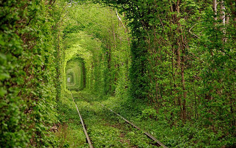 Tunnel-of-Love