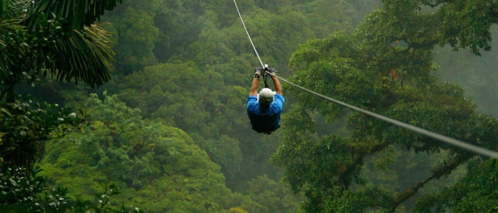 canopy-pic-1024x439