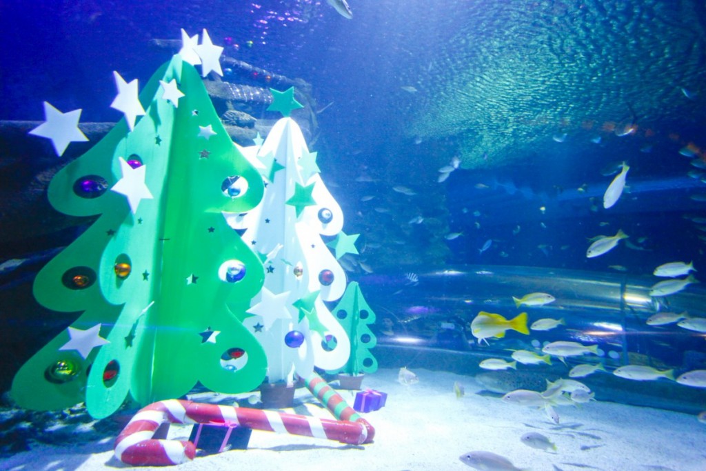 20151207_Fun 2 Sea Voyage@Aquaria KLCC_MG_3146