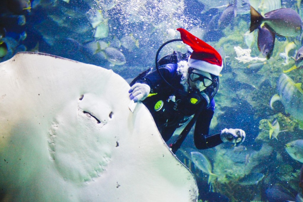 20151207_Fun 2 Sea Voyage@Aquaria KLCC_MG_3350