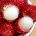 میوه رامبوتان (Rambutan)