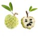 سیب کاستارد (Custard Apple)