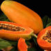 پاپایا (Papaya (Betik میوه‌ای سرشار از ویتامین‌ها