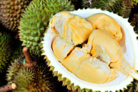 دوریان (Durian) و ترکیبات سمی بالقوه همراه با الکل
