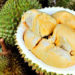 دوریان (Durian) و ترکیبات سمی بالقوه همراه با الکل