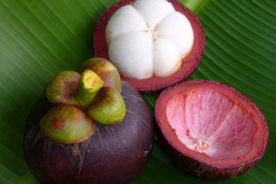 منگوستین (Mangosteen)