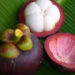منگوستین (Mangosteen)