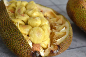 چمپداک (Cempedak)