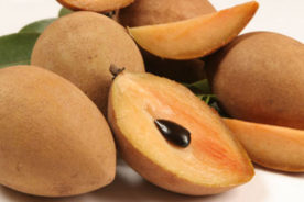 سپودیلا یا چیکو (Sapodilla (Ciku