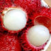 رامبوتان (Rambutan)