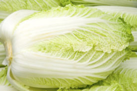 کلم ناپا (Napa Cabbage)