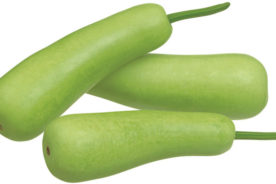 اپو اسکواش (Opo Squash)