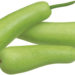 اپو اسکواش (Opo Squash)