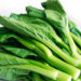 چوی سام (Choy Sum)؛ سبزی محبوب آسیای شرقی