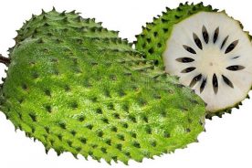 ساپادیل (durian belanda)