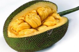 جک‌فروت؛ میوه غول‌پیکر مناطق گرمسیری