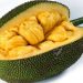 جک‌فروت؛ میوه غول‌پیکر مناطق گرمسیری