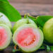 خواص میوه گواوا (Guava)، کاربردها و نحوه مصرف آن