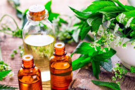 اسانس نعناع هندی؛ خواص و کاربردهای روغن پچولی