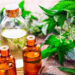 اسانس نعناع هندی؛ خواص و کاربردهای روغن پچولی