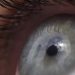 دانشمندان سوئدی برای درمان دیابت ایمپلنت‌های چشمی تولید کردند