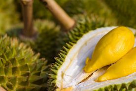 ۶ خوراکی که نباید با دوریان بخورید