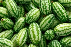 میوه کوکاملون (Cucamelon)