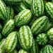 میوه کوکاملون (Cucamelon)