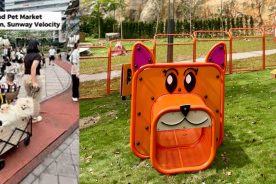 زمین بازی ویژه حیوانات خانگی در مرکز خرید جدید سان‌وی&hellip;